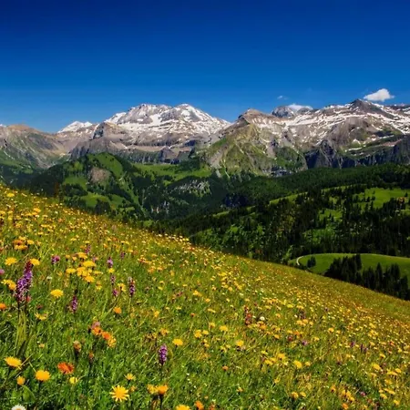Teleboy By Interhome Lenk im Simmental