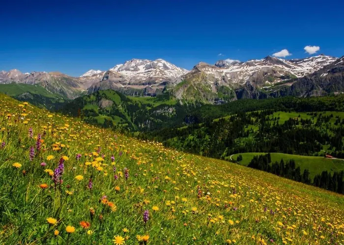 Teleboy By Interhome Lenk